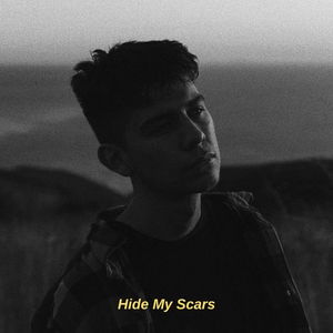 Hide My Scars