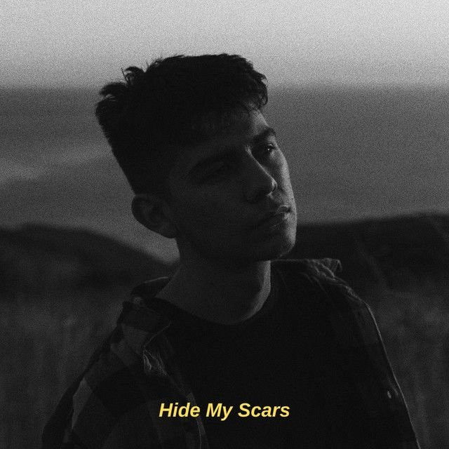 Hide My Scars