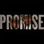 Promise cover