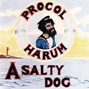 A Salty Dog