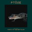 Night of the Reptiles - Ptôse Obsolete Remix cover