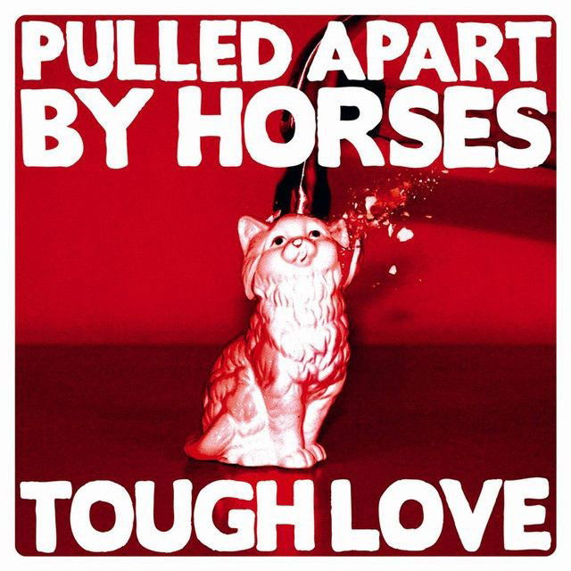 Pulled Apart by Horses profile