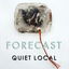 Forecast cover