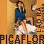 Picaflor cover