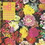 Flowers cover