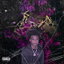 Freestyle (Lack Of Respect) cover