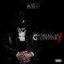 Young Nigga cover