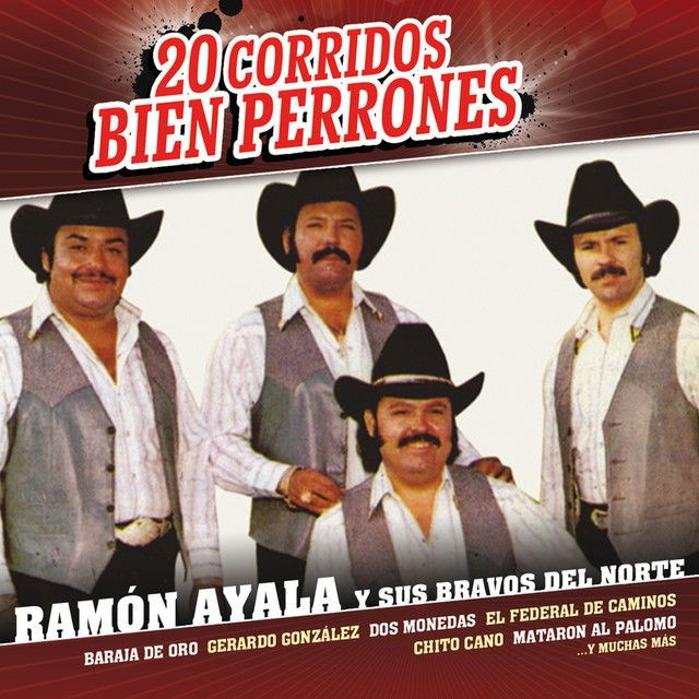 Ramón Ayala profile