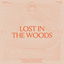 Lost In The Woods cover