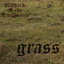 Grass cover