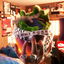 Alien cover