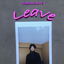 Leave cover