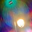 COLOR PALETTE cover