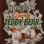 Teddy Bear cover