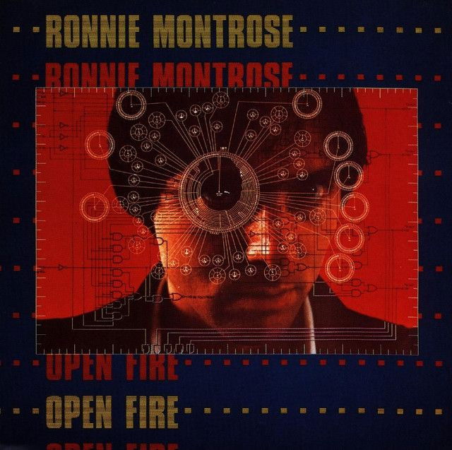 Ronnie Montrose profile