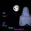 Doge Moonshot cover