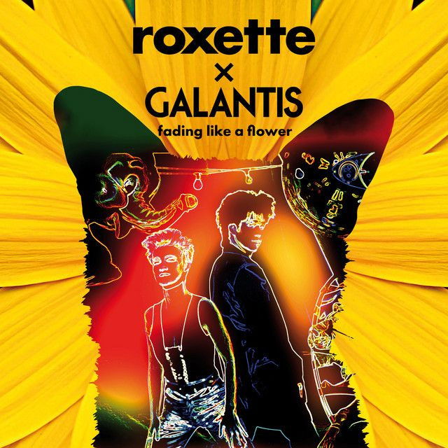 Roxette profile