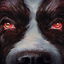 Cujo cover