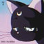 BAG! cover