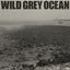 Wild Grey Ocean cover