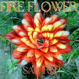 Fire Flower