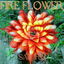 Fire Flower cover