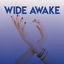 Wide Awake cover