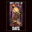 Dirty Little Lie cover