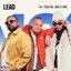 Lead cover