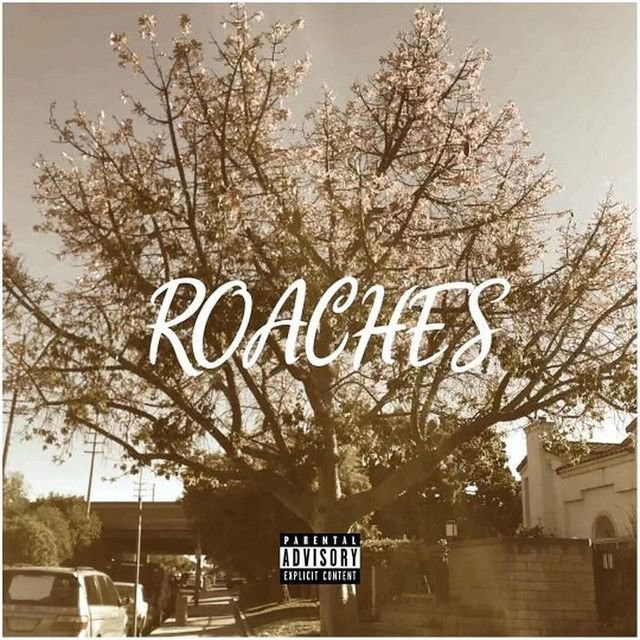 ROACHES