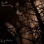 Snakes cover