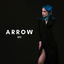 Arrow cover