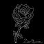 Dear Quinton cover