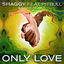 Only Love cover