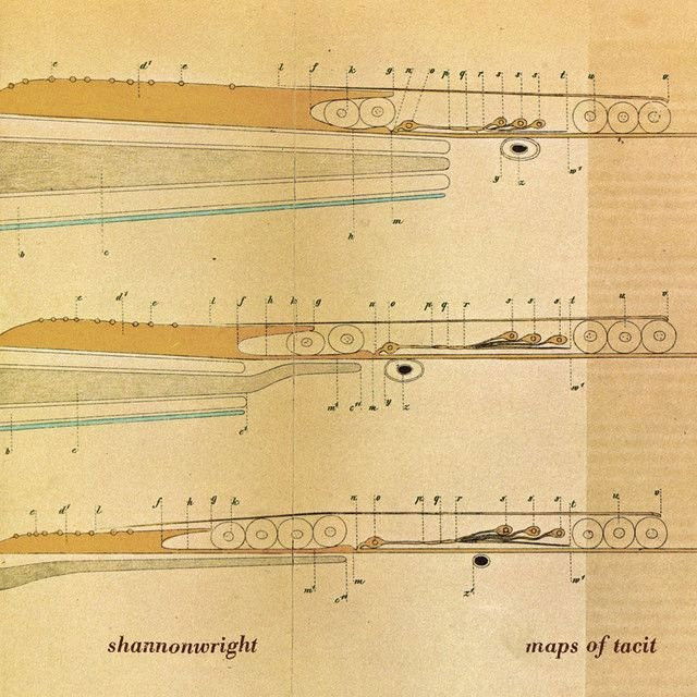 Shannon Wright profile