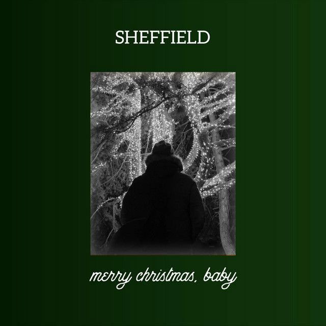 Sheffield profile