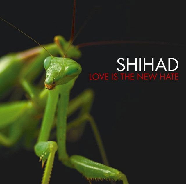 Shihad profile