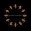 ROUND OF APPLAUSE cover