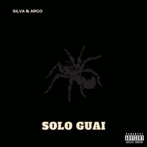 Solo Guai