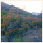 Change cover