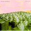Human Condition cover