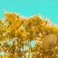 I Don't Know cover