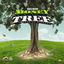 Money Tree cover