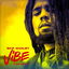 Vibe cover