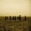 Psychosocial cover