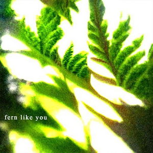 Fern Like You