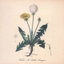 Wait A Little Longer cover