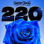 220 cover