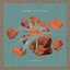 Clowns cover