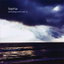 Birds cover